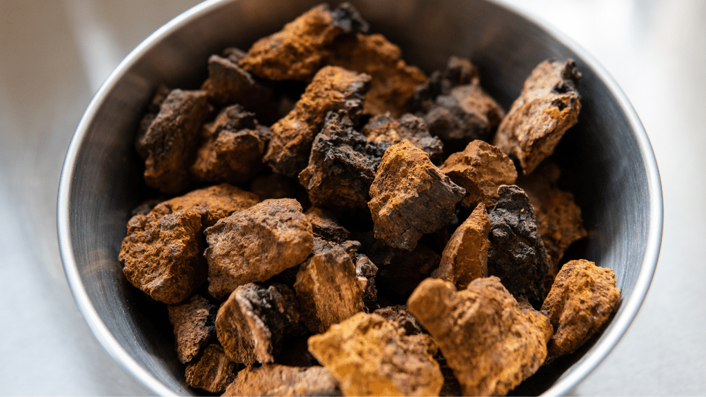 How to Use Chaga for Erectile Dysfunction The Complete Guide